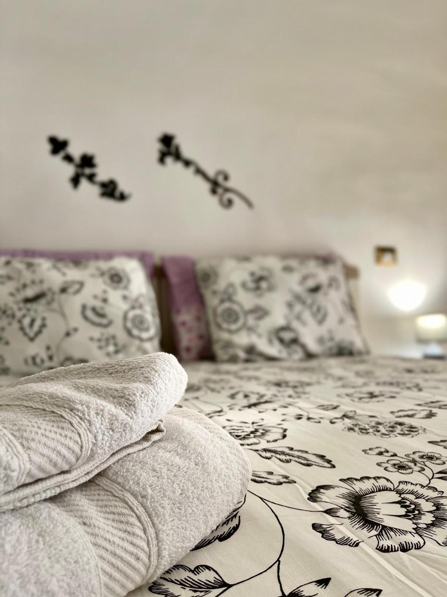 Apartament Oasis *